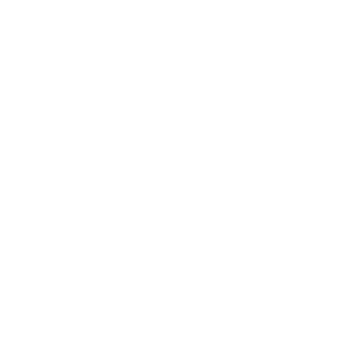Alboroto